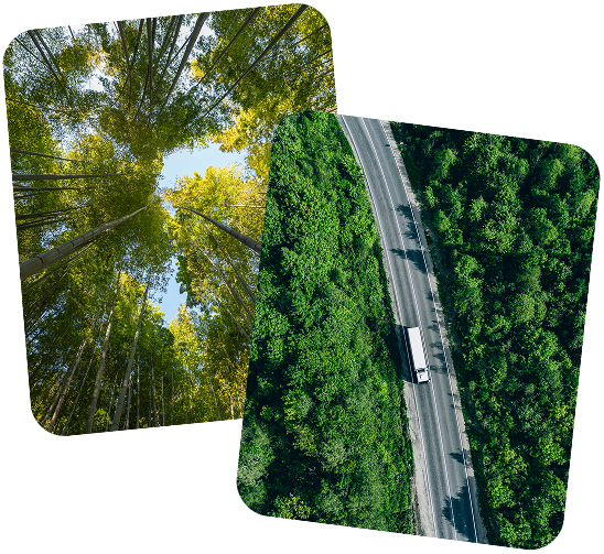Assessoria Ambiental