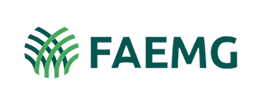 Ícone