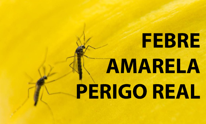 Caminhoneiros devem ter atenção especial com risco de febre amarela