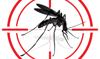 Eliminar o Aedes aegypti é responsabilidade de todos