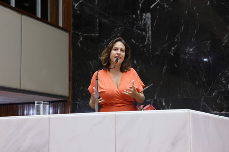 Pedágios na RMBH pautam discursos no Plenário