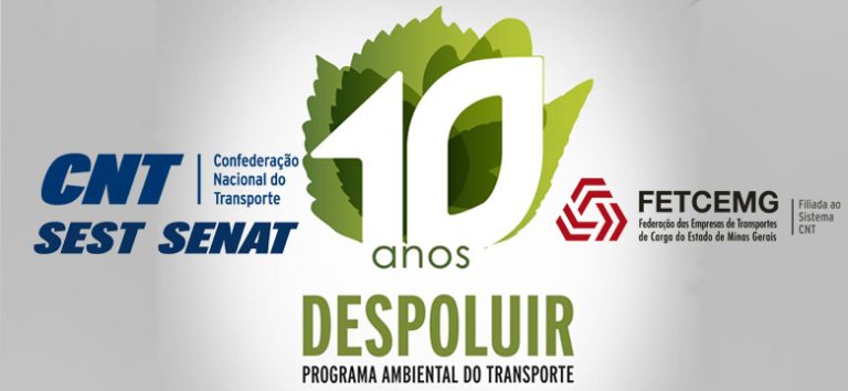 Despoluir completa 10 anos