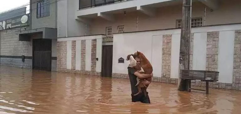 FETCEMG e SETCEMG apoiam campanha SOS Chuvas