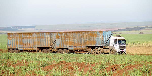 Novo veículo deve reduzir os custos de transporte