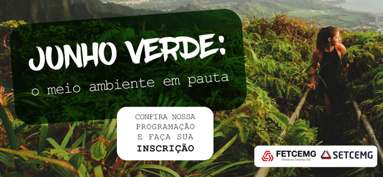 Vamos falar de meio ambiente e transporte?