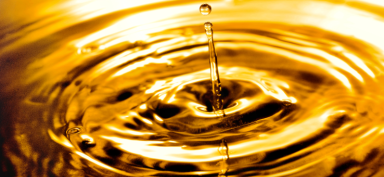 CNT alerta sobre o risco ambiental que novo aumento do percentual de biodiesel pode causar