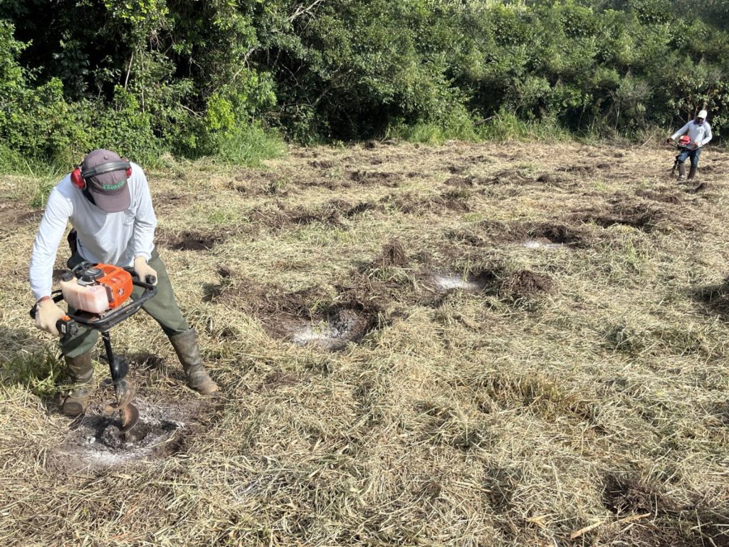 Transpocred reforça compromisso ambiental com apoio ao projeto Ecooar Renova Cerrado, na Fazenda do Lobo