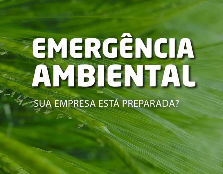 Fetcemg e Fiemg promovem workshop no interior