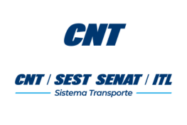 Ícone