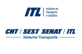 Ícone